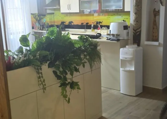 别墅 Zum Wohlfuehlen Bis Zu 10 Gaeste 迪迪姆